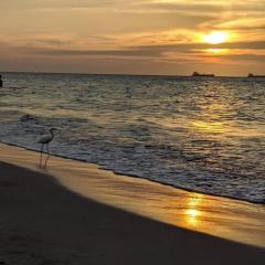 San Jose de los Acuarios