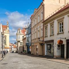 Cozy place in a heart of Vilnius