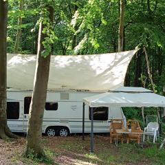 Wohnwagen Fendt Diamant 650 VIP