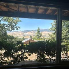 Panoramic Views