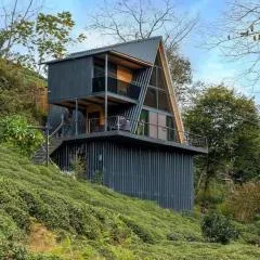 Espenika A-Frame