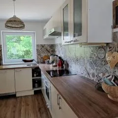 DOM v Skalke nad Váhom