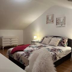 Apartman Paulina 1