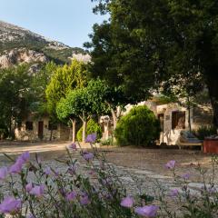 Akros Oreon, Omalos Studio