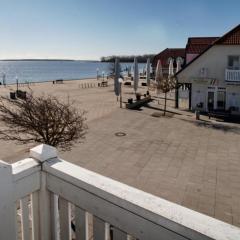 Fewo 08 Seemöwe mit Blick auf Salzhaff und Ostsee