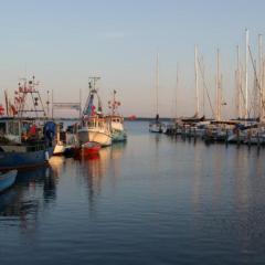 Fewo 07 Eismöwe mit Blick auf Salzhaff und Ostsee
