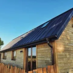 Szczupak