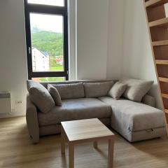 AniMer Apartment