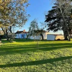 LES CRISTELLES