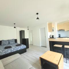 Studio centre Cannes