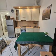 Porta Romana District Studio