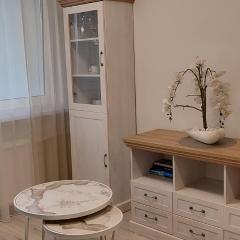Cozy Kaunas apartment