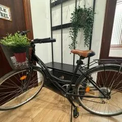 BIKE APARTMENT next to Cathedral and Laurel by Apartamentos Logrono org