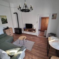 Ferencvárosi tetőteraszos apartman