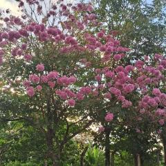 Casa Temporada Oasis no Sertão