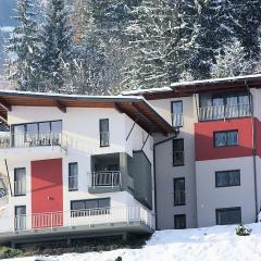 Apartment in Fügen near Spieljoch Ski