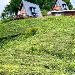Elit Bungalov