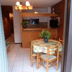 Appartement cosy 4 pers. à Châtel, balcon exposé sud, proche télécabine Linga, WiFi inclus - FR-1-676-125