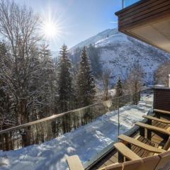 Penthouse Schmittenblick Top 5