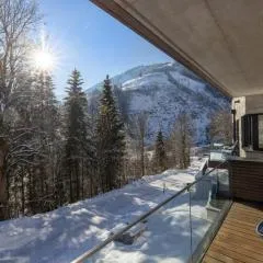 Appartement Schmittenblick Top 2