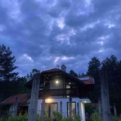 Vila Borjak