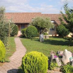 Bungalow Melisa mit Salzwasserpool in Porec