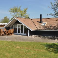Holiday Home Birkemose Sønderborg Xi