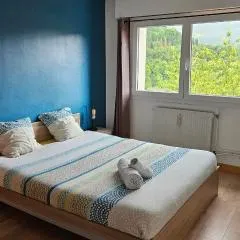 Appart'Hotel Lizon Cocooning avec sauna