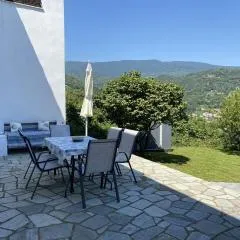 Camellia Guesthouse