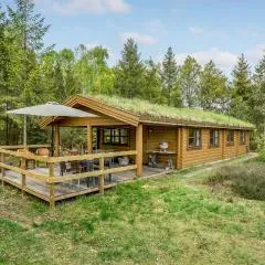 Lovely Home In Hadsund With House A Panoramic View