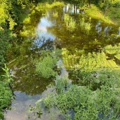 Le Moulin de Chambon