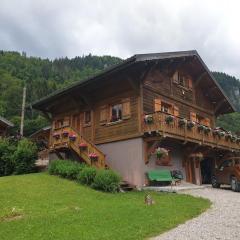 Chalet spacieux avec garage privé, animaux acceptés, terrasse et jardin, idéal pour familles ! - FR-1-692-101