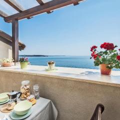 Cozy Apartment In Novigrad With Wifi