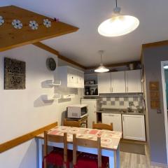 Appartement 3 pièces 6 personnes, accès direct pistes, proche télécabine et commerces - FR-1-265-198