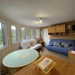 T2 cosy au cœur de Laveissière - Près des pistes, commerces et patinoire - FR-1-787-37