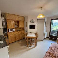 T2 cabine avec balcon, près des pistes - FR-1-787-21