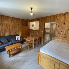 Studio rénové, calme, balcon sud, jardinet, proche pistes et commerces - FR-1-787-22