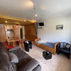 Studio avec balcon en centre station, WiFi et animaux admis - FR-1-787-60