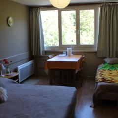 Studio cosy 2/3 pers, 200m pistes, wifi, parking, animaux ok - FR-1-787-49