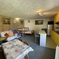Studio 35m² pour 5 pers. avec balcon, centre station, proche commerces et pistes, animaux acceptés. - FR-1-787-61