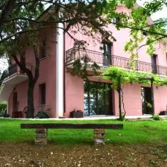 Agriturismo Il Colle Del Contadino