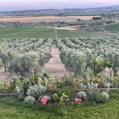 La Pizzuta del Principe