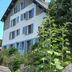 Chalet du Doumet - Appart LUZ centre - parking et garage individuel ferme - draps et serviettes inclus