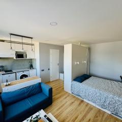 Scandinavian Saga in the heart of the city