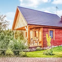 Lovely Home In Sierakow With Wifi