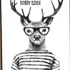 Apartment Roku 2025 - JELEŃ & NATURA