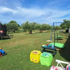 Apartmani Berber