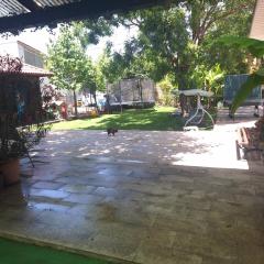 Casa inflorita camere