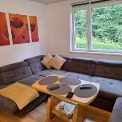 Apartment Kapfenberg