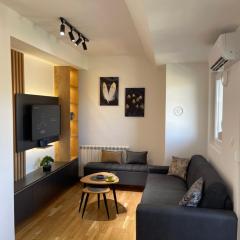 Cozy lux mountain apartment